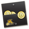 bitcoin-veneto-wallett